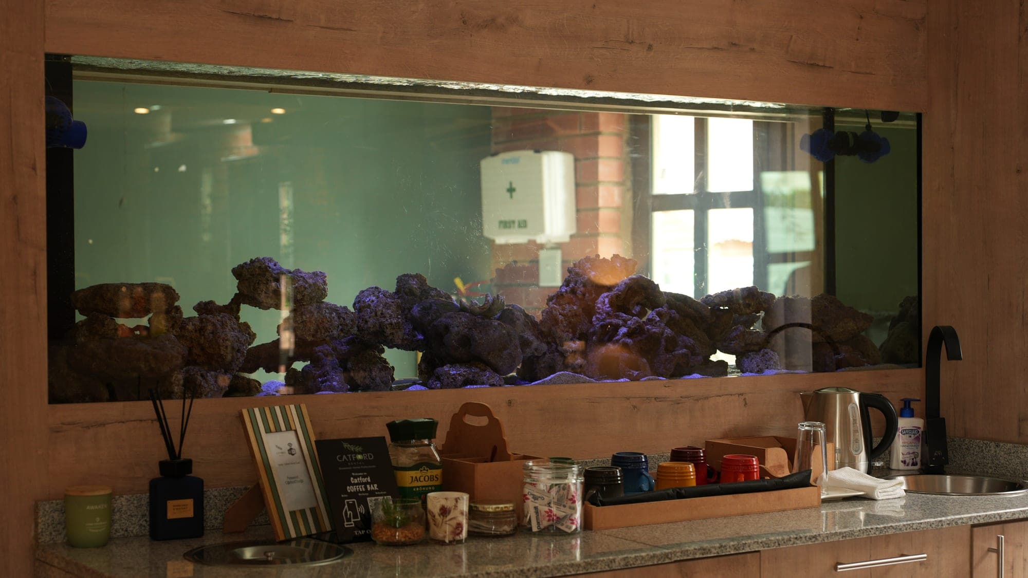 A wide marine aquarium set into the timber wall of the Catford Dental waiting area, stocked with live rock and coral, above a counter holding a coffee station.