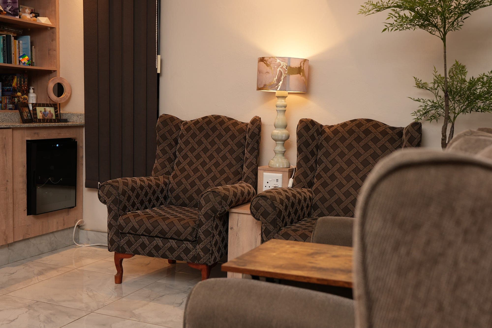 The waiting area at Catford Dental: two upholstered wing-back armchairs beside a lamp, a bookshelf, and a live olive tree in the corner.